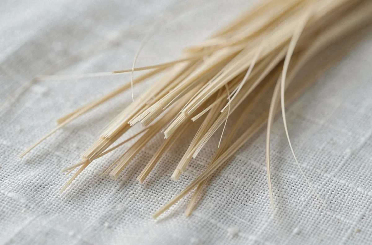 Gros plan sur des fourches et cheveux abîmés avec texture détaillée